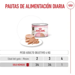 Royal Canin Mother Baby mousse latas para gatos