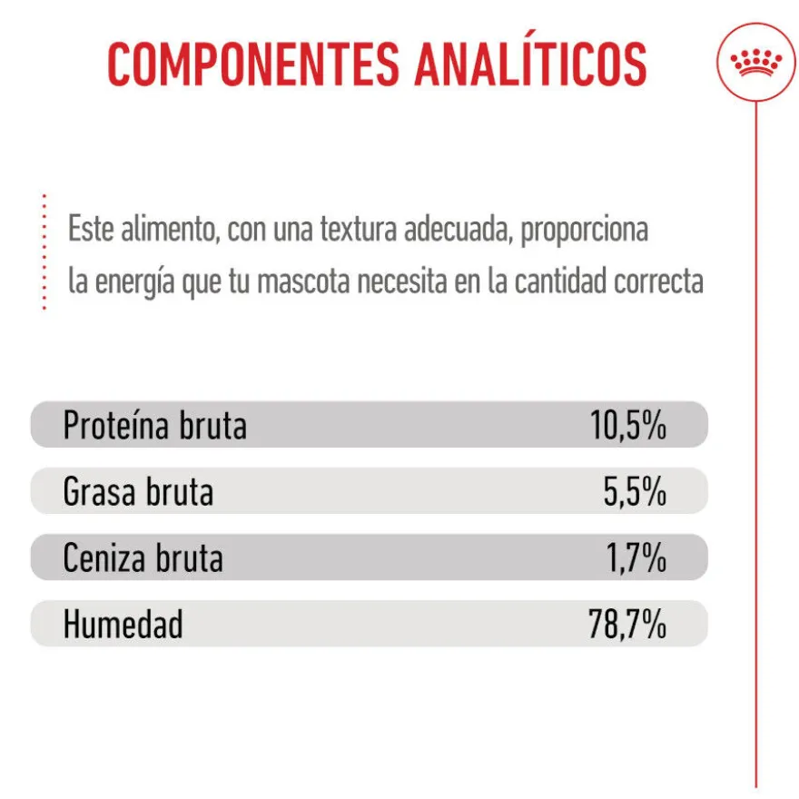Royal Canin Mother Baby mousse latas para gatos