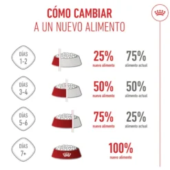 Royal Canin Mother Baby mousse latas para gatos