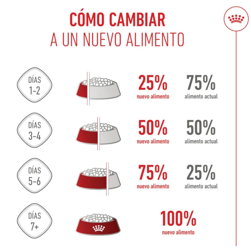 Royal Canin Mother Baby mousse latas para gatos