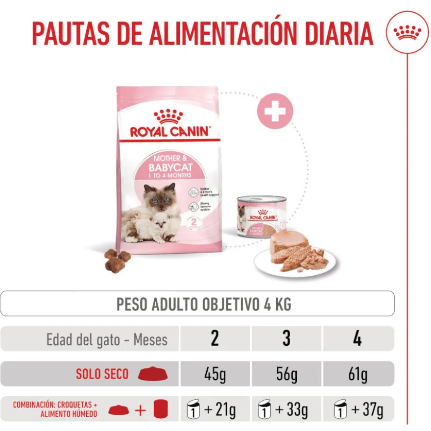 Royal Canin Mother & Baby ração para gatos