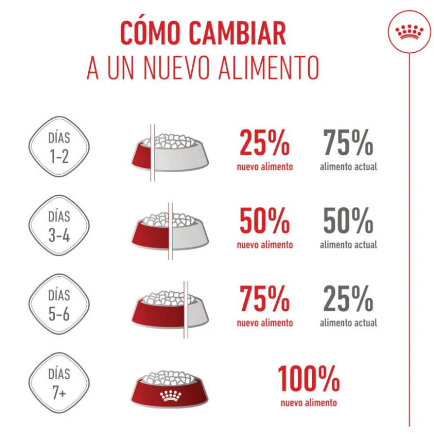Royal Canin Mother & Baby ração para gatos