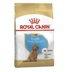 Royal Canin Poodle Puppy ração para cães