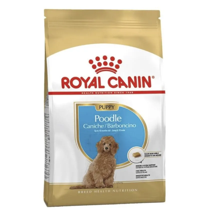 Royal Canin Poodle Puppy ração para cães