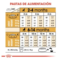 Royal Canin Puppy Boxer ração para cães