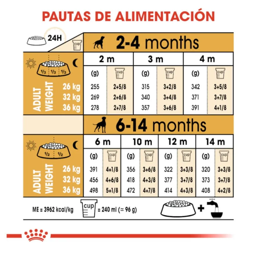 Royal Canin Puppy Boxer ração para cães