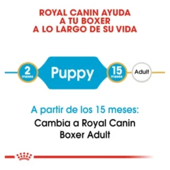 Royal Canin Puppy Boxer ração para cães