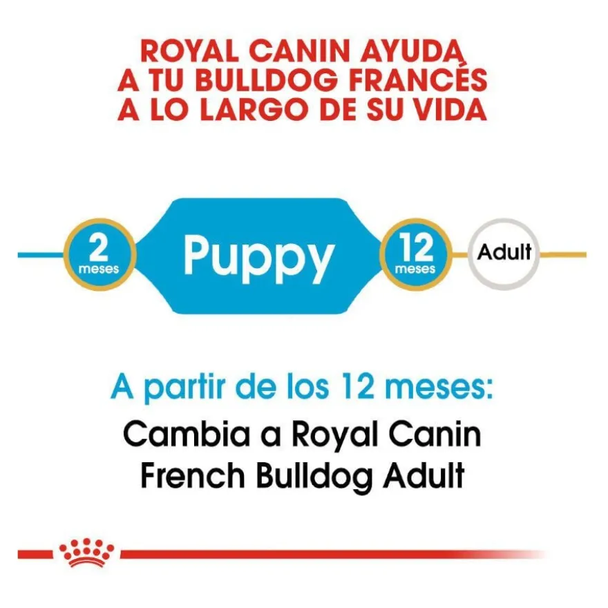 Royal Canin Puppy Bulldog Francês ração para cães