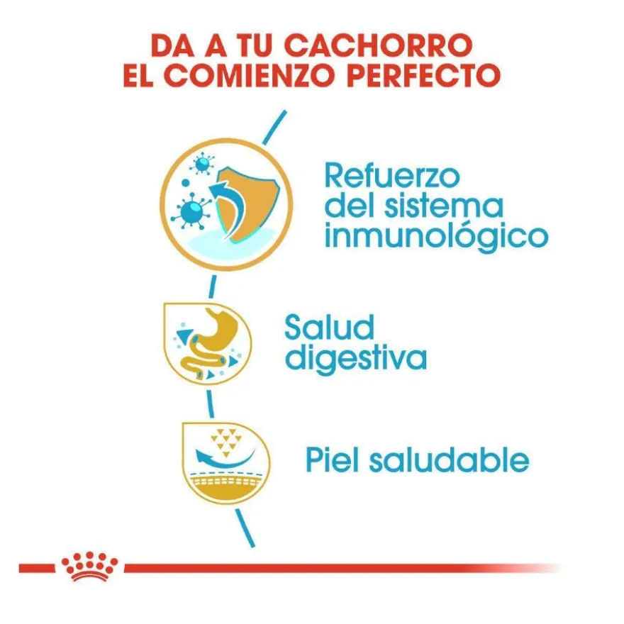 Royal Canin Puppy Bulldog Francês ração para cães