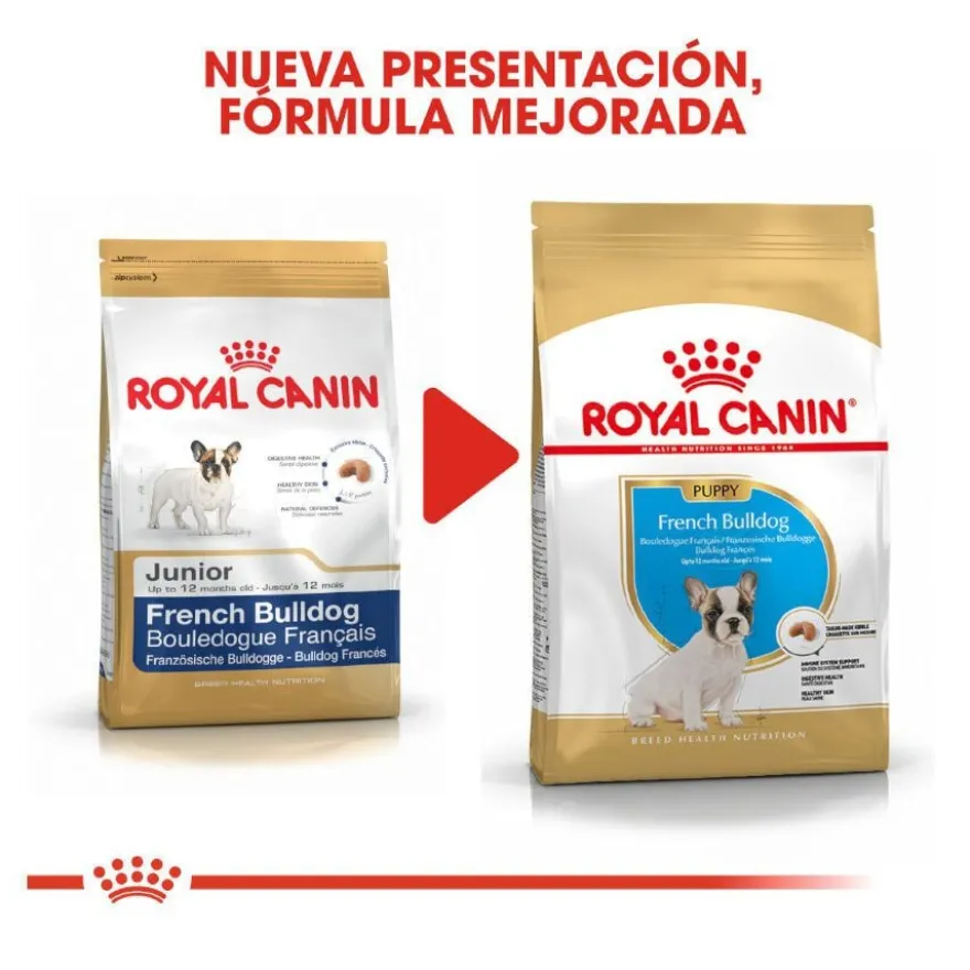 Royal Canin Puppy Bulldog Francês ração para cães