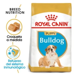 Royal Canin Puppy Bulldog ração para cães