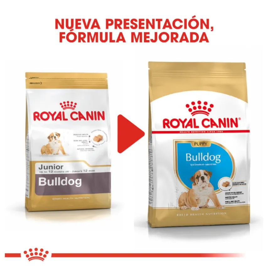 Royal Canin Puppy Bulldog ração para cães