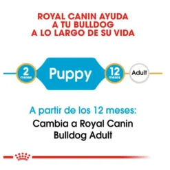 Royal Canin Puppy Bulldog ração para cães
