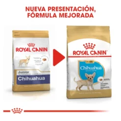 Royal Canin Puppy Chihuahua ração para cães
