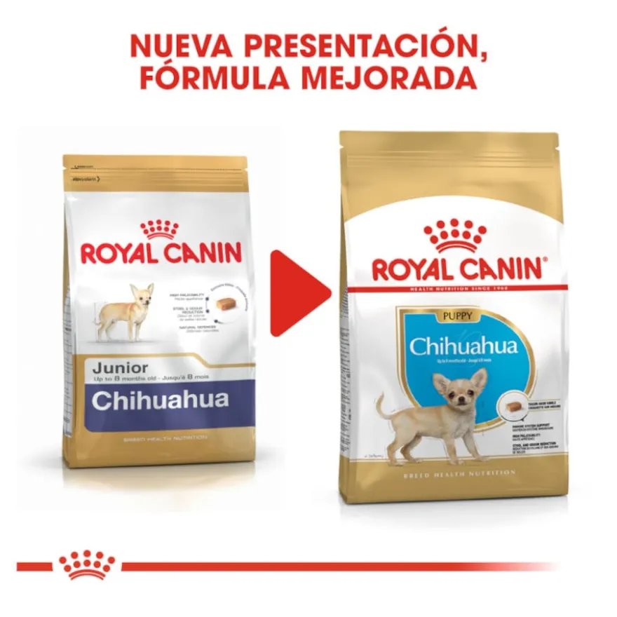 Royal Canin Puppy Chihuahua ração para cães