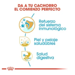 Royal Canin Puppy Cocker ração para cães