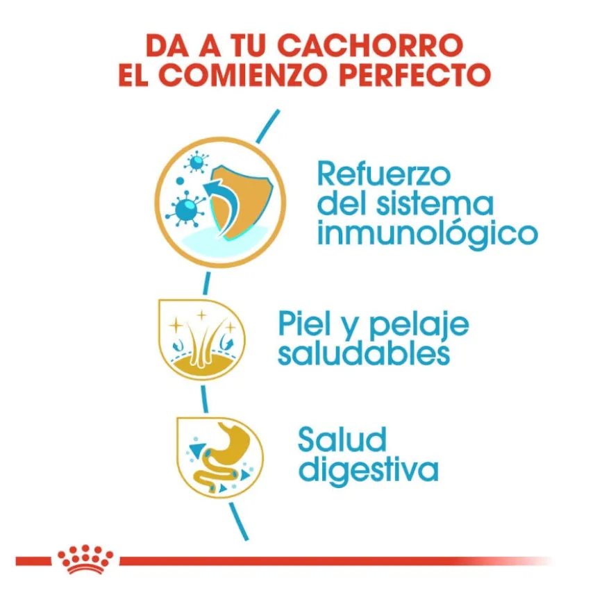Royal Canin Puppy Cocker ração para cães
