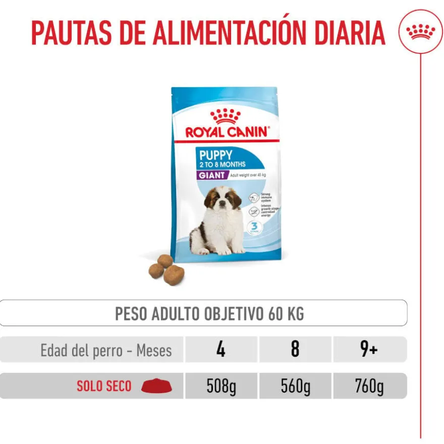 Royal Canin Puppy Giant ração para cães