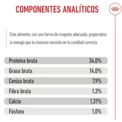 Royal Canin Puppy Giant ração para cães