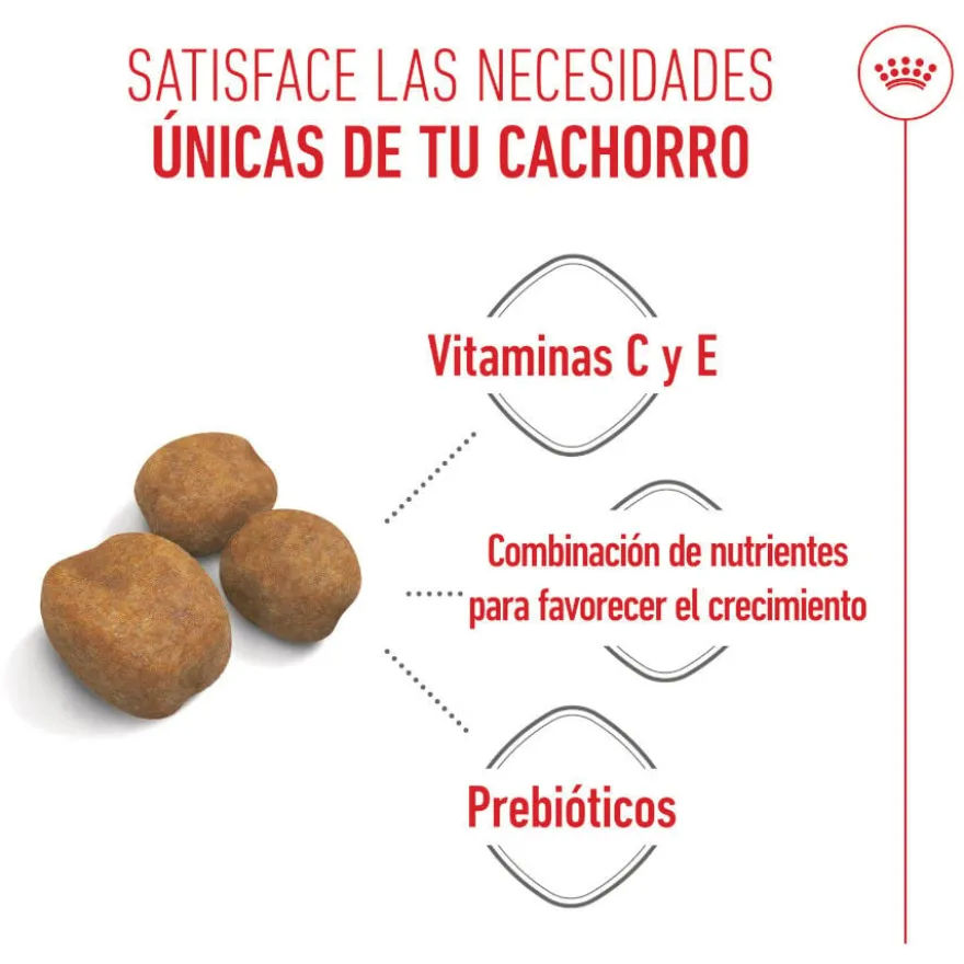 Royal Canin Puppy Giant ração para cães