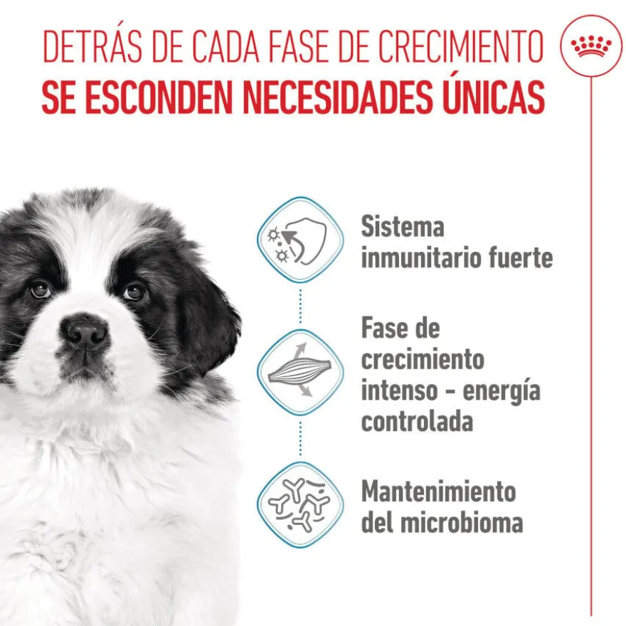 Royal Canin Puppy Giant ração para cães