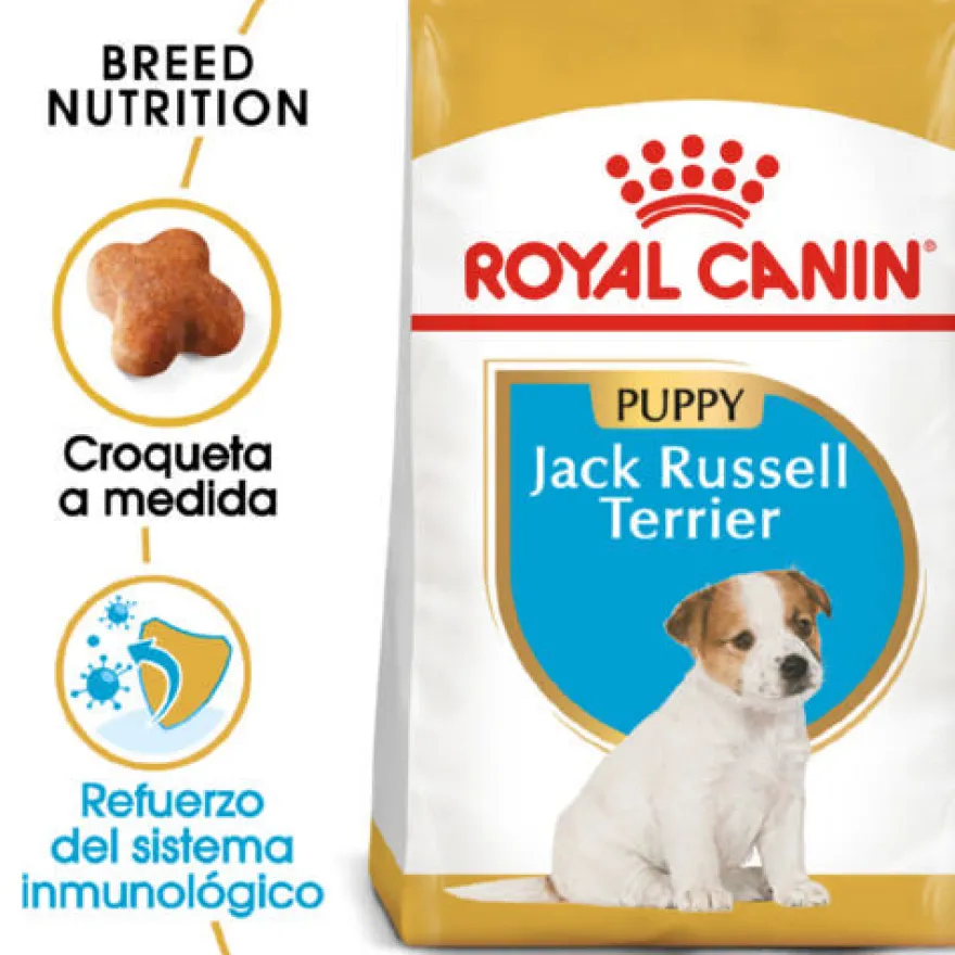 Royal Canin Puppy Jack Russell Terrier ração para cães