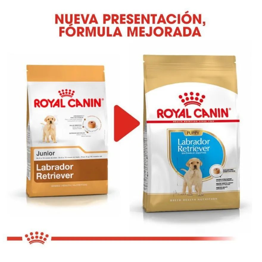 Royal Canin Puppy Labrador Retriever ração para cães