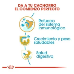 Royal Canin Puppy Labrador Retriever ração para cães