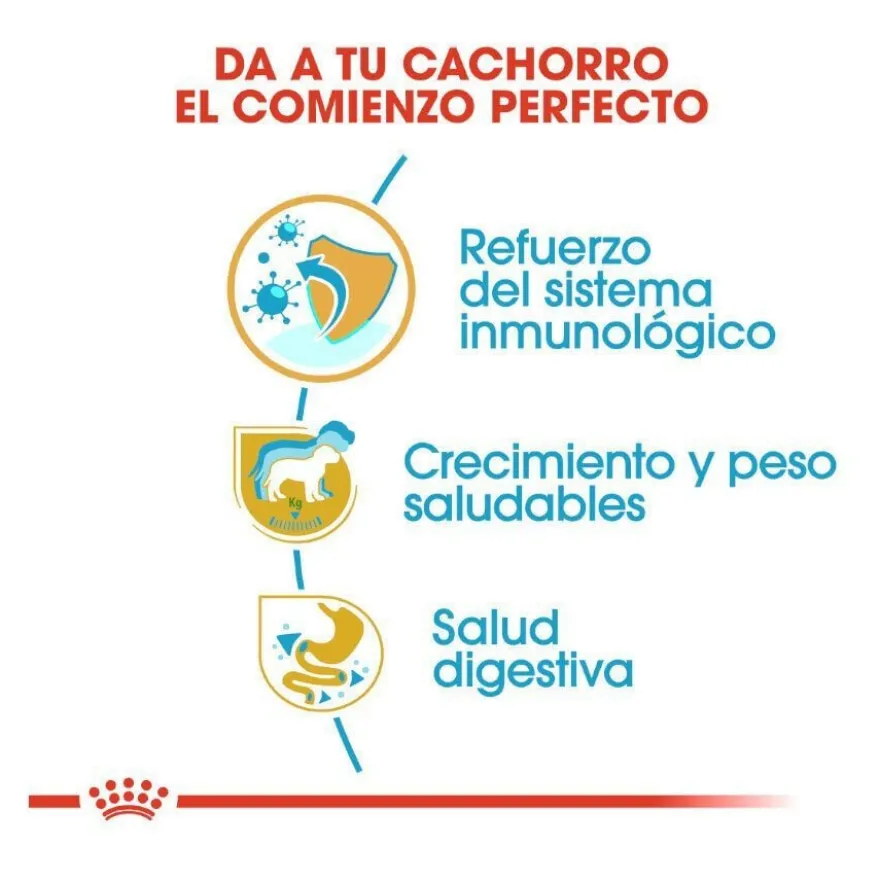 Royal Canin Puppy Labrador Retriever ração para cães