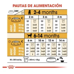 Royal Canin Puppy Labrador Retriever ração para cães