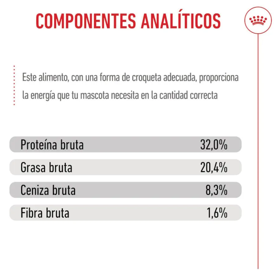 Royal Canin Puppy Medium ração para cães médios