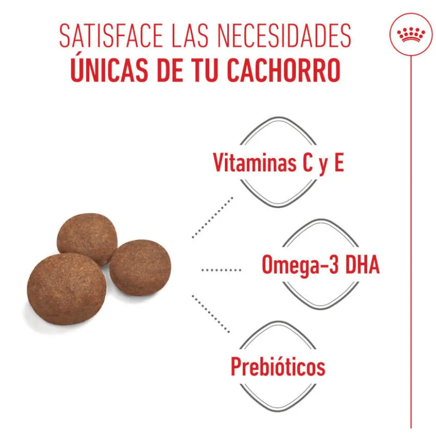 Royal Canin Puppy Medium ração para cães médios