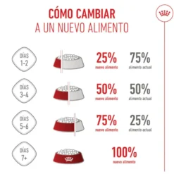 Royal Canin Puppy Medium ração para cães médios