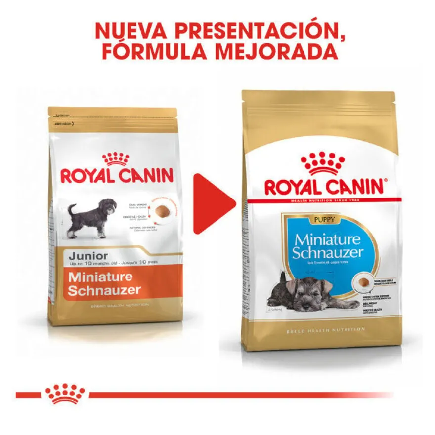 Royal Canin Puppy Miniature Schnauzer ração para cães