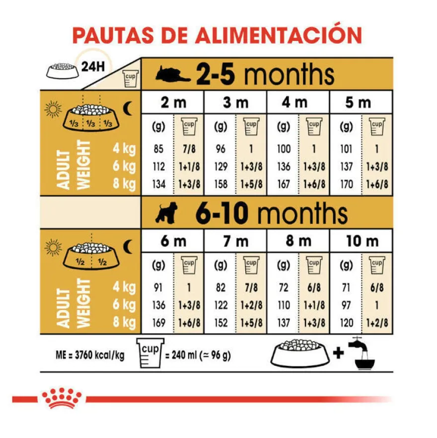 Royal Canin Puppy Miniature Schnauzer ração para cães