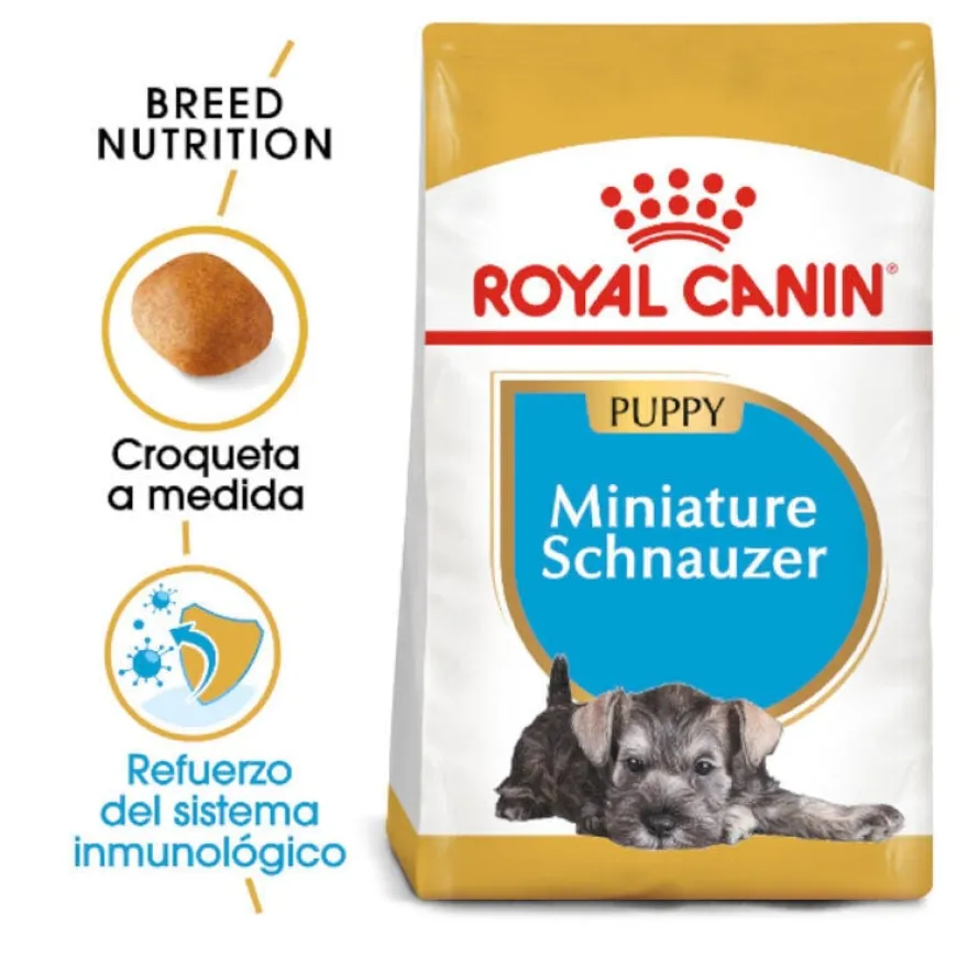 Royal Canin Puppy Miniature Schnauzer ração para cães