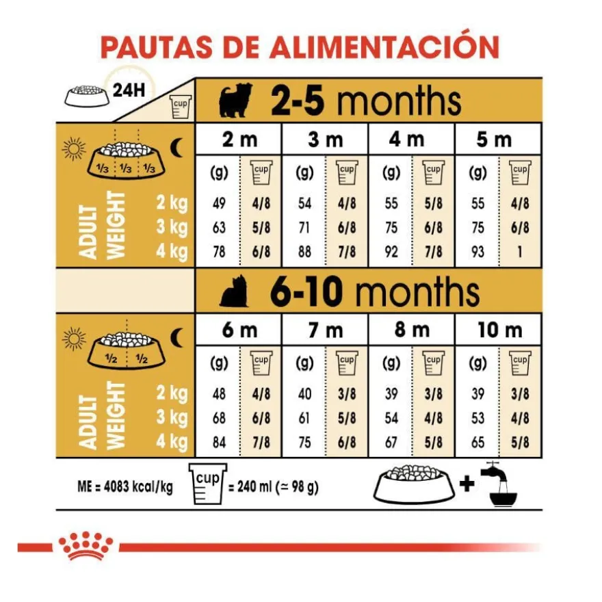 Royal Canin Puppy Yorkshire Terrier ração para cães