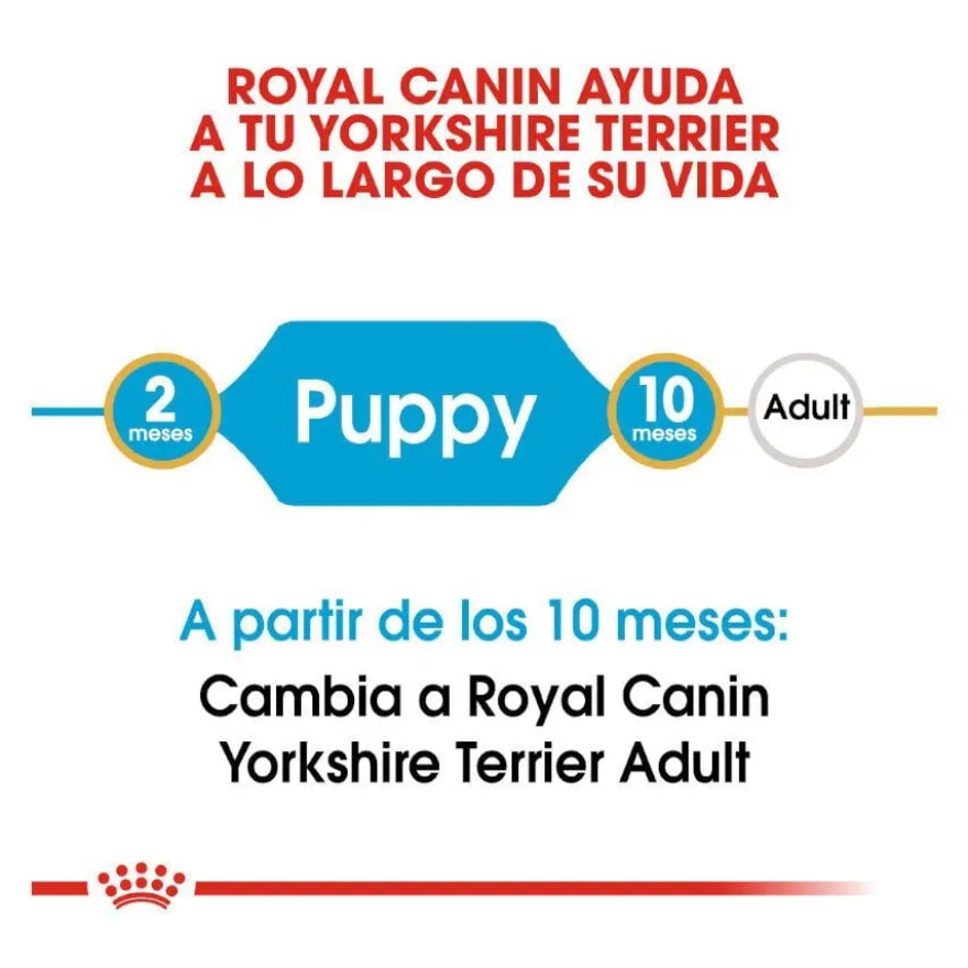 Royal Canin Puppy Yorkshire Terrier ração para cães