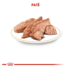 Royal Canin Saquetas de Patê para Teckel