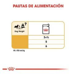 Royal Canin Saquetas de Patê para Teckel