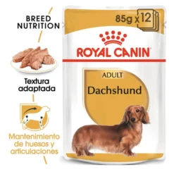 Royal Canin Saquetas de Patê para Teckel