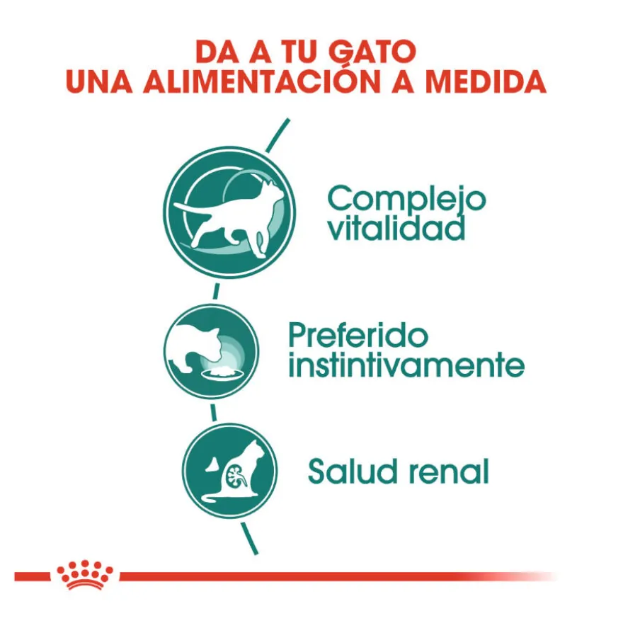 Royal Canin Senior 7+ Instinctive saquetas para gatos