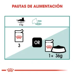 Royal Canin Senior 7+ Instinctive saquetas para gatos