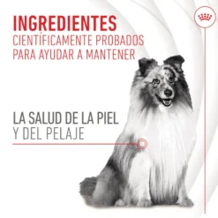 Royal Canin Skin & Coat Chews Suplemento Nutricional Adulto para Cães