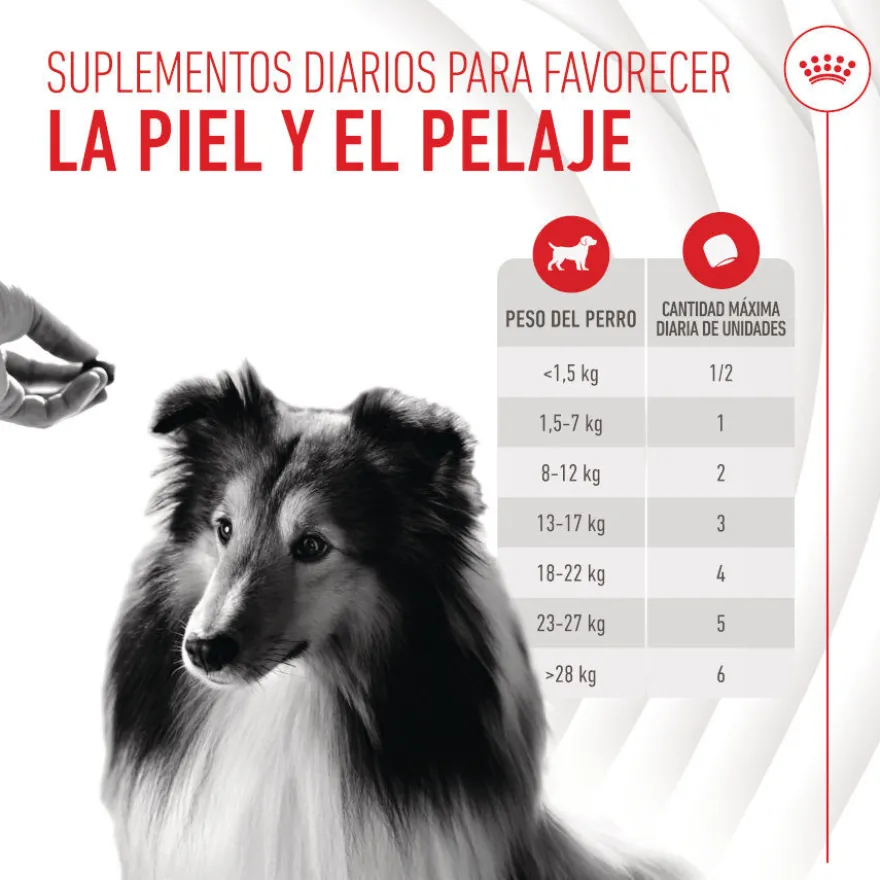 Royal Canin Skin & Coat Chews Suplemento Nutricional Adulto para Cães