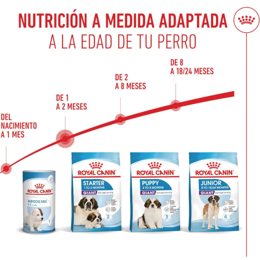 Royal Canin Starter Puppy Giant Ração