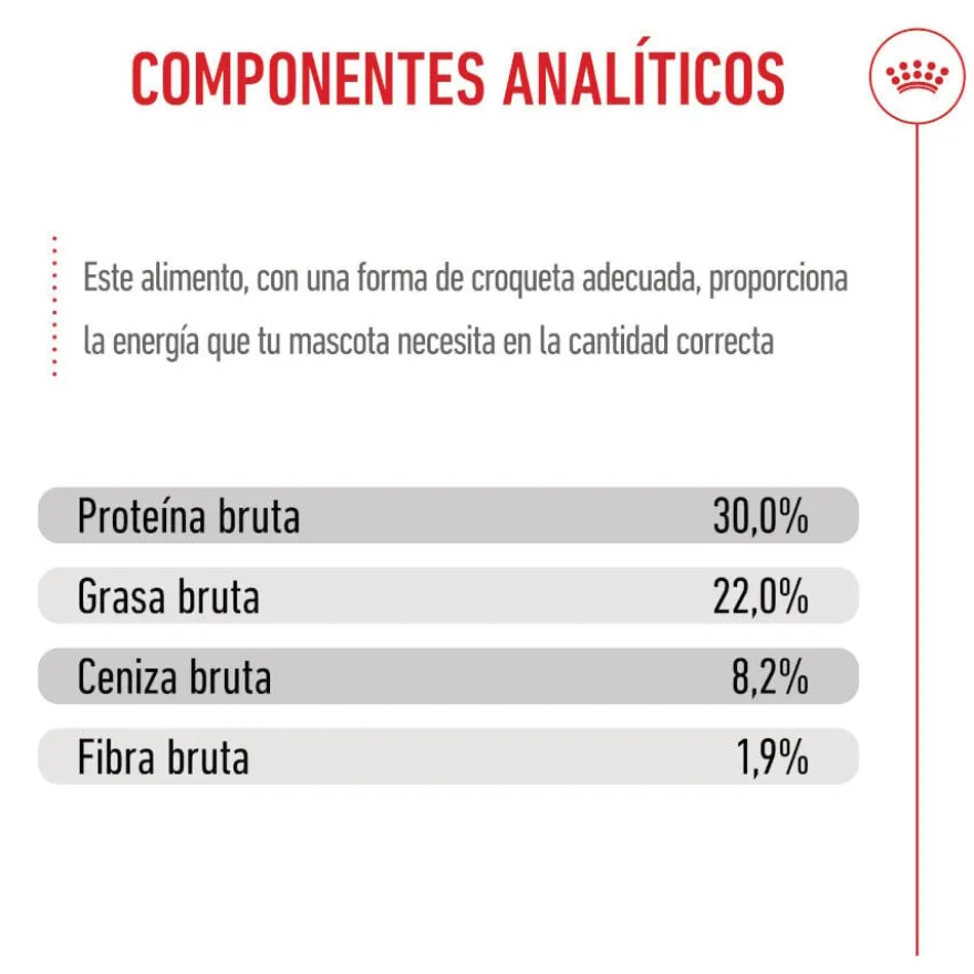 Royal Canin Starter Puppy Giant Ração