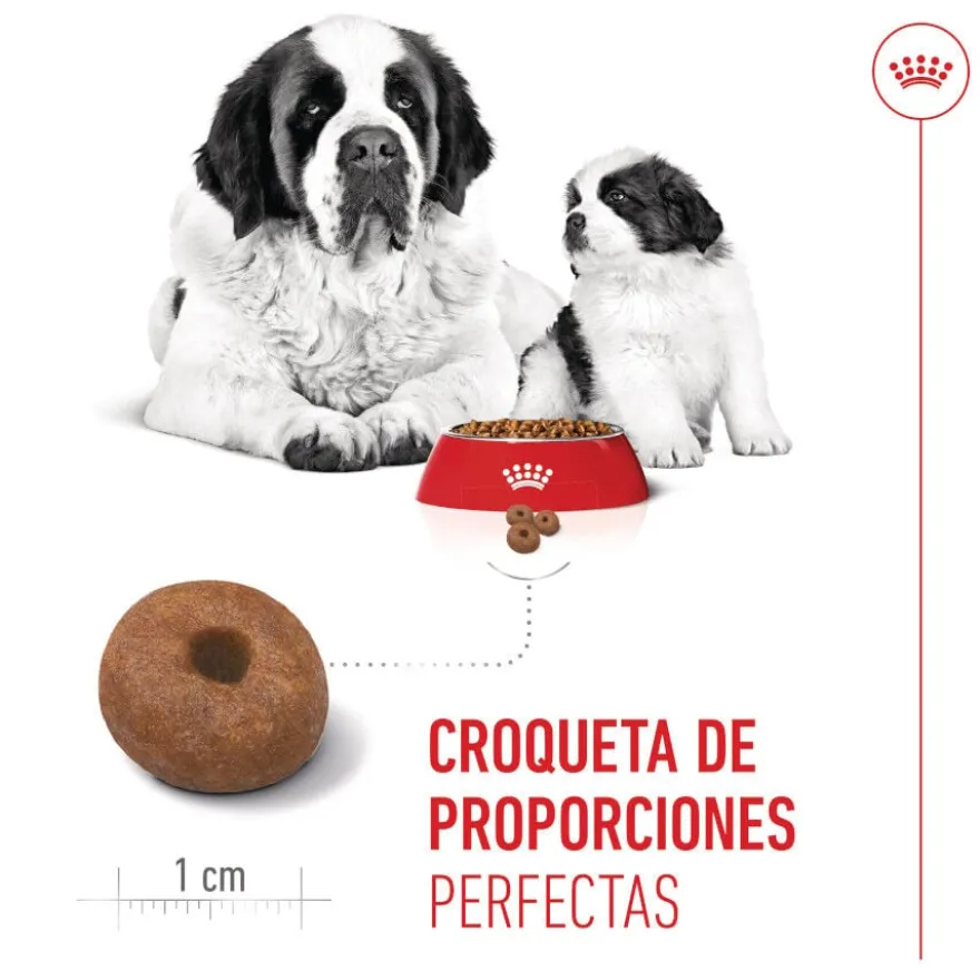 Royal Canin Starter Puppy Giant Ração