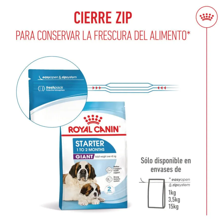 Royal Canin Starter Puppy Giant Ração