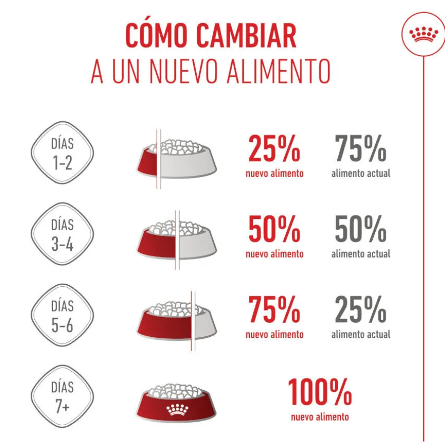 Royal Canin Starter Puppy Giant Ração